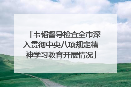 韦韬督导检查全市深入贯彻中央八项规定精神学习教育开展情况