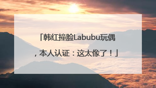 韩红撞脸Labubu玩偶，本人认证：这太像了！