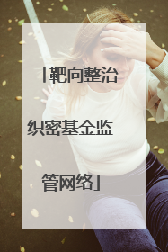 靶向整治织密基金监管网络