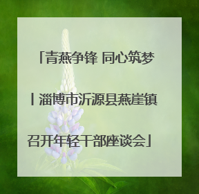 青燕争锋 同心筑梦丨淄博市沂源县燕崖镇召开年轻干部座谈会