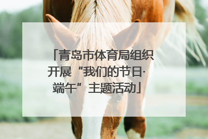 青岛市体育局组织开展“我们的节日·端午”主题活动