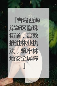 青岛西海岸新区隐珠街道：高效推进林业执法，筑牢林地安全屏障