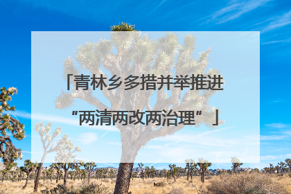 青林乡多措并举推进“两清两改两治理”