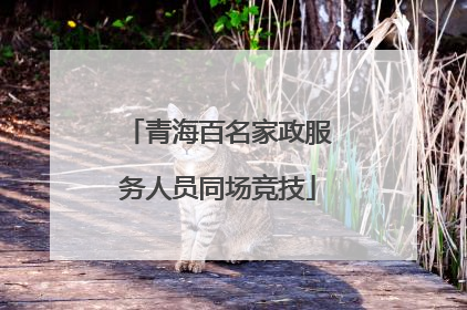 青海百名家政服务人员同场竞技