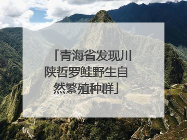 青海省发现川陕哲罗鲑野生自然繁殖种群