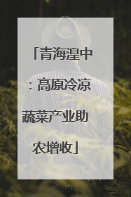 青海湟中：高原冷凉蔬菜产业助农增收