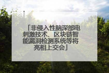 非侵入性脑深部电刺激技术、区块链智能漏洞检测系统等将亮相上交会