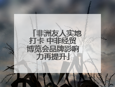 非洲友人实地打卡 中非经贸博览会品牌影响力再提升