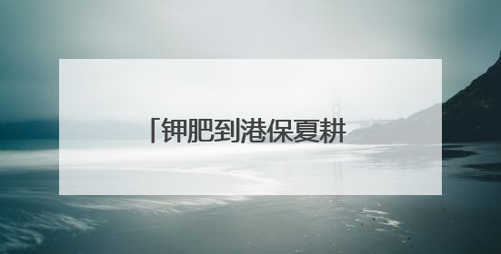 钾肥到港保夏耕 边检高效助通关