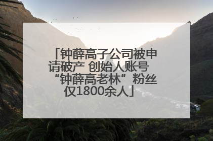 钟薛高子公司被申请破产 创始人账号“钟薛高老林”粉丝仅1800余人