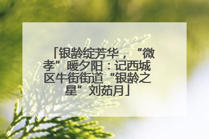 银龄绽芳华，“微孝”暖夕阳：记西城区牛街街道“银龄之星”刘茹月