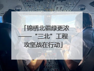 锦绣北疆绿更浓——“三北”工程攻坚战在行动