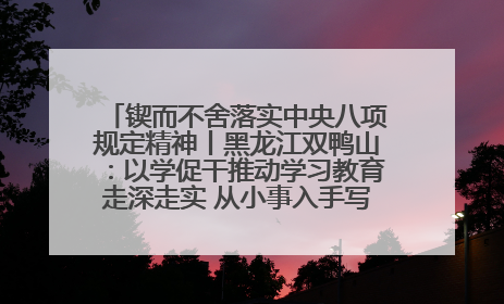 锲而不舍落实中央八项规定精神丨黑龙江双鸭山：以学促干推动学习教育走深走实 从小事入手写好“民生答卷”
