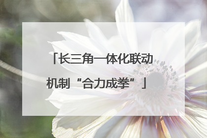 长三角一体化联动机制“合力成拳”