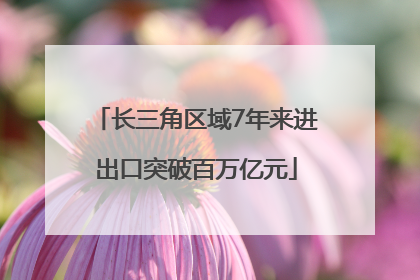 长三角区域7年来进出口突破百万亿元