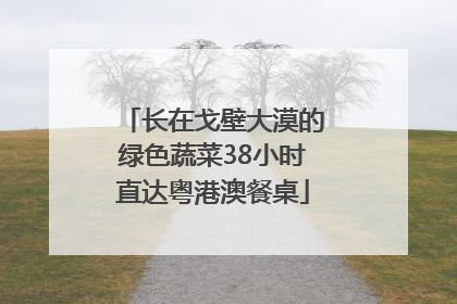 长在戈壁大漠的绿色蔬菜38小时直达粤港澳餐桌