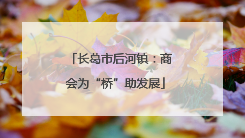 长葛市后河镇：商会为“桥”助发展