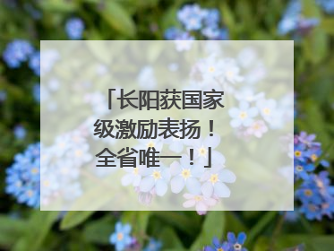 长阳获国家级激励表扬！全省唯一！