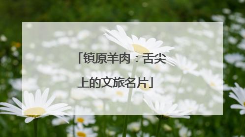 镇原羊肉：舌尖上的文旅名片