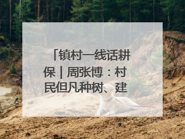 镇村一线话耕保｜周张博：村民但凡种树、建棚、盖房，都要向街道报批