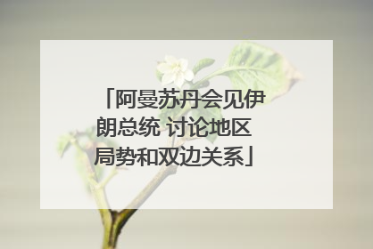 阿曼苏丹会见伊朗总统 讨论地区局势和双边关系