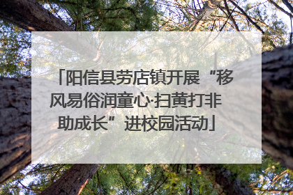 阳信县劳店镇开展“移风易俗润童心·扫黄打非助成长”进校园活动