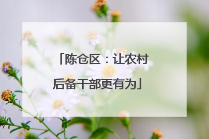 陈仓区：让农村后备干部更有为