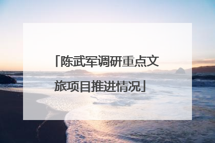 陈武军调研重点文旅项目推进情况
