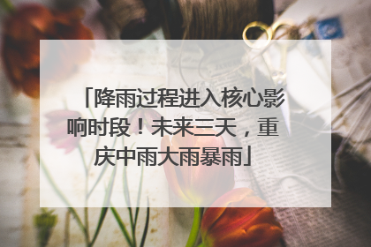 降雨过程进入核心影响时段！未来三天，重庆中雨大雨暴雨