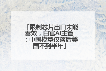 限制芯片出口未能奏效，白宫AI主管：中国模型仅落后美国不到半年