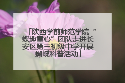 陕西学前师范学院“蝶趣童心”团队走进长安区第三初级中学开展蝴蝶科普活动