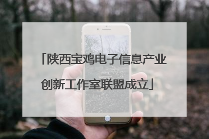 陕西宝鸡电子信息产业创新工作室联盟成立