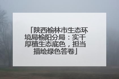 陕西榆林市生态环境局榆阳分局：实干厚植生态底色，担当描绘绿色答卷