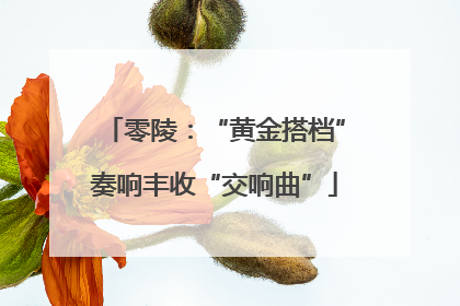 零陵：“黄金搭档”奏响丰收“交响曲”