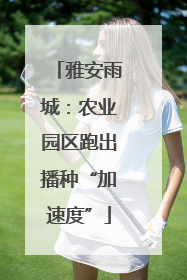 雅安雨城：农业园区跑出播种“加速度”