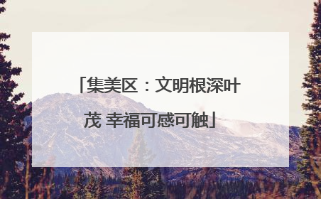 集美区：文明根深叶茂 幸福可感可触