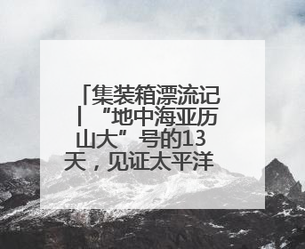 集装箱漂流记丨“地中海亚历山大”号的13天，见证太平洋上的“抢运潮”与“过剩潮”