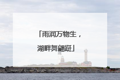 雨润万物生，湖畔舞翩跹