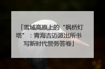 雪域高原上的“枫桥灯塔”：青海吉迈派出所书写新时代警务答卷
