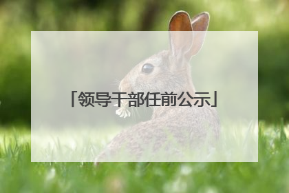 领导干部任前公示