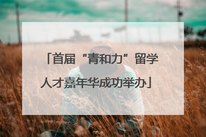 首届“青和力”留学人才嘉年华成功举办