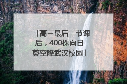 高三最后一节课后，400株向日葵空降武汉校园