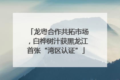 龙粤合作共拓市场，白桦树汁获黑龙江首张“湾区认证”