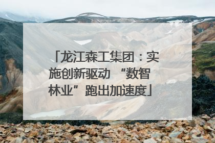 龙江森工集团：实施创新驱动 “数智林业”跑出加速度