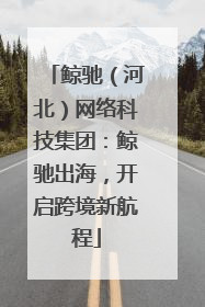 鲸驰（河北）网络科技集团：鲸驰出海，开启跨境新航程
