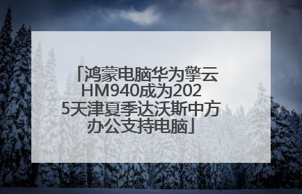 鸿蒙电脑华为擎云 HM940成为2025天津夏季达沃斯中方办公支持电脑