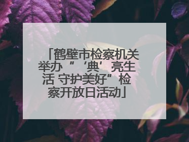 鹤壁市检察机关举办“‘典’亮生活 守护美好”检察开放日活动