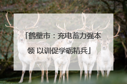 鹤壁市：充电蓄力强本领 以训促学砺精兵