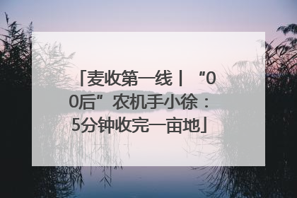 麦收第一线丨“00后”农机手小徐：5分钟收完一亩地
