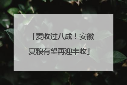 麦收过八成！安徽夏粮有望再迎丰收